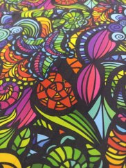 Dámský softshellový kabát Hana, barevné ulity