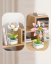 Camellia Flower Building Set (122 pcs) – buildable flower with stand