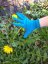 Children’s gloves for eczema for atopic skin – dark turquoise